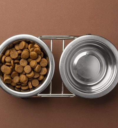 Dog Food Bowl x 2