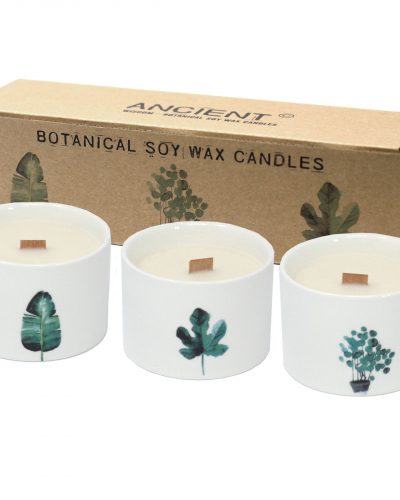 Med Botanical Candles - Mullberry Harvest
