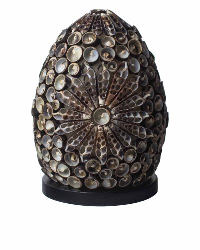 Boho Sea Shell Lamp - Chocolate Twist Oval - 15cm