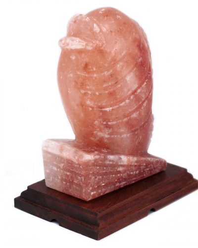 Fish Shaped Himalayan Salt Lamp