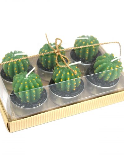 Set of 6 Barrel Cactus Tealights in Gift Box