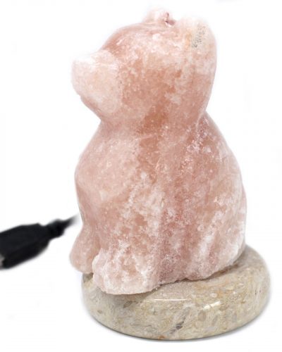 USB Dog Shaped Himalayan Salt Lamp (Multi)