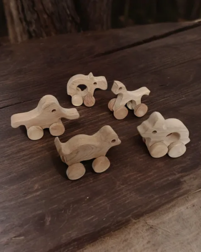 Neem Wooden Wheel Toys of 5 Beautiful Shapes for Toddlers